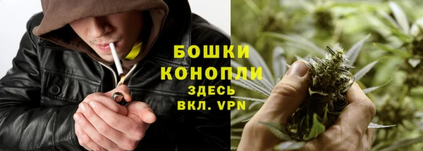 трава Заводоуковск