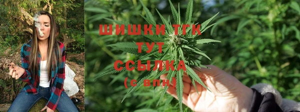 трава Заводоуковск