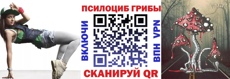 сколько стоит  Ишим  Псилоцибиновые грибы GOLDEN TEACHER 