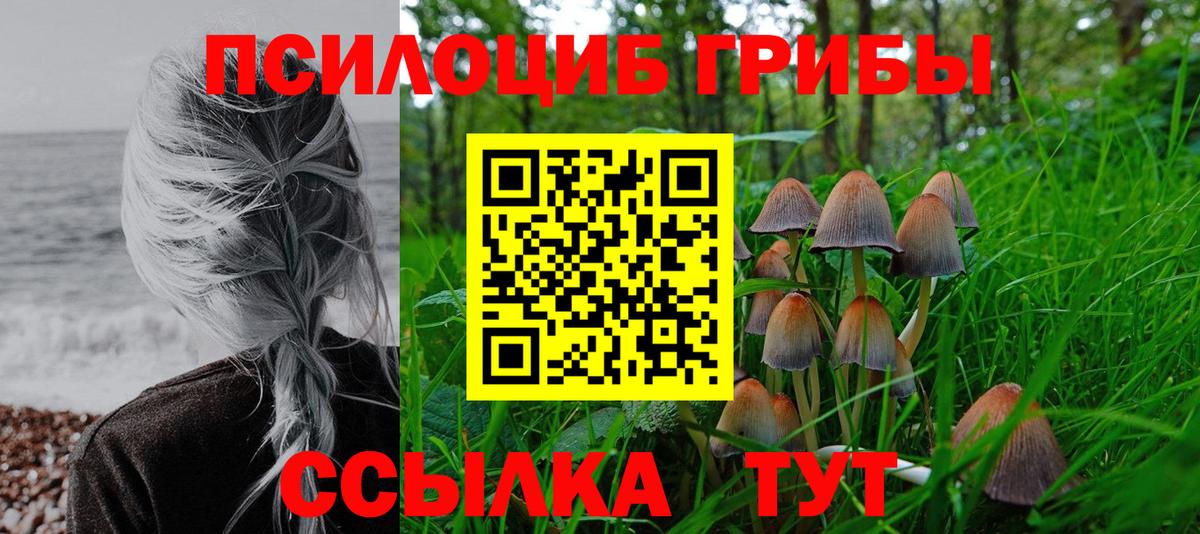 Ишим  Псилоцибиновые грибы Psilocybe  Вход с VPN 